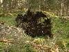 2003_0527_120223AA.jpg